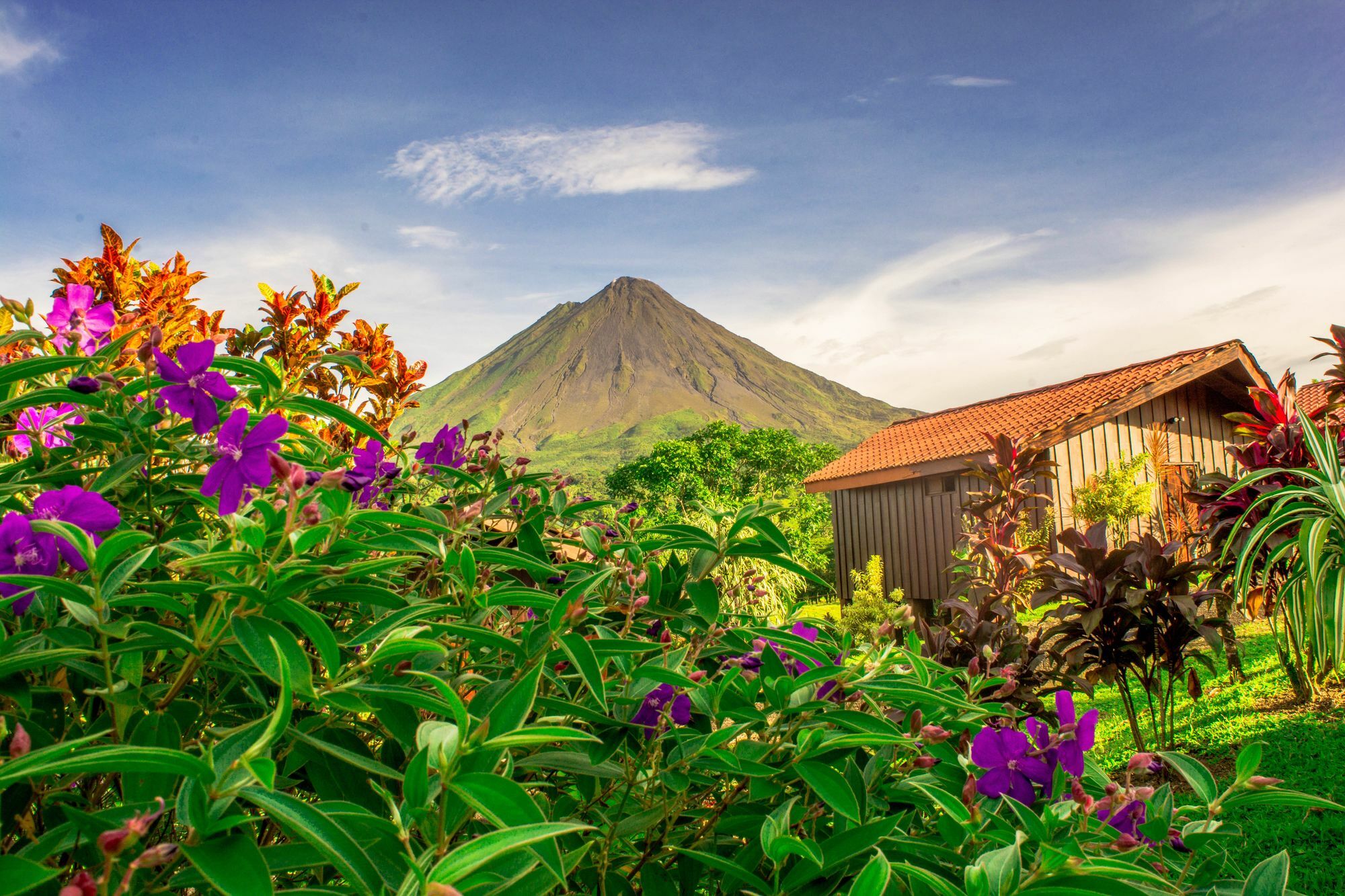 Arenal Bungalows La Fortuna Buitenkant foto